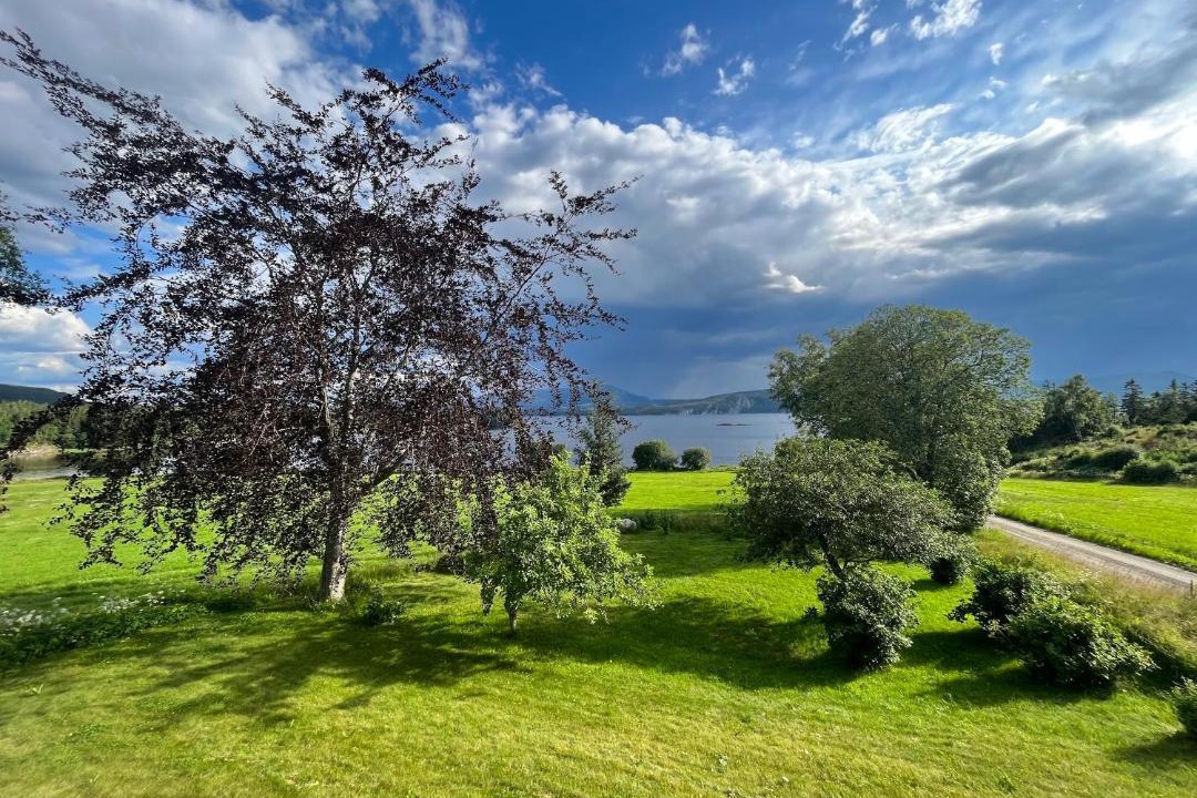Photo of Others in Namsos