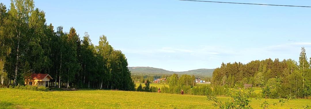 Photo of Others in Jarvso