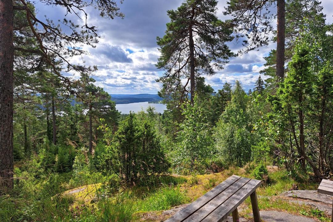 Photo of Others in Amotfors