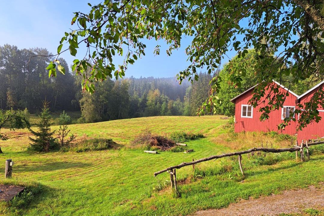 Photo of Others in Amotfors