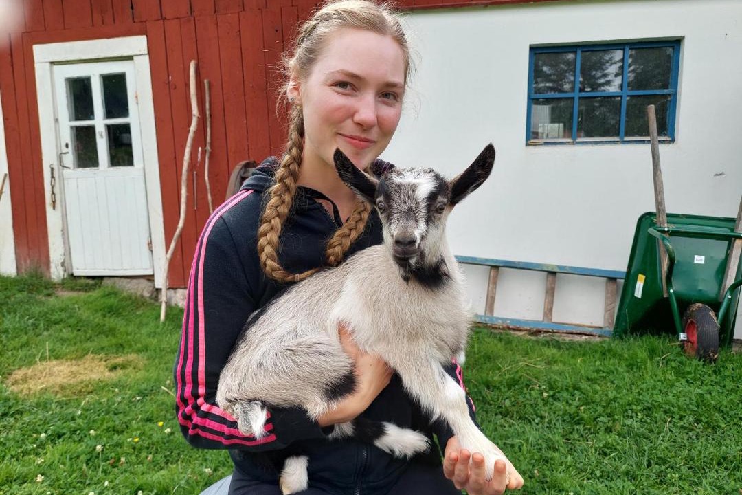 Photo of Others in Soderkoping