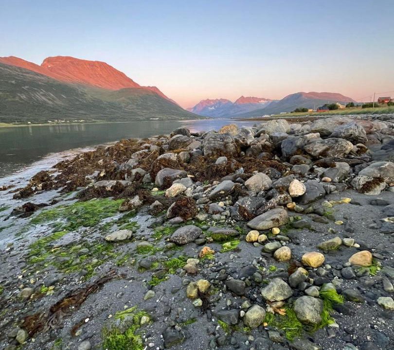 Photo of Others in Lyngen