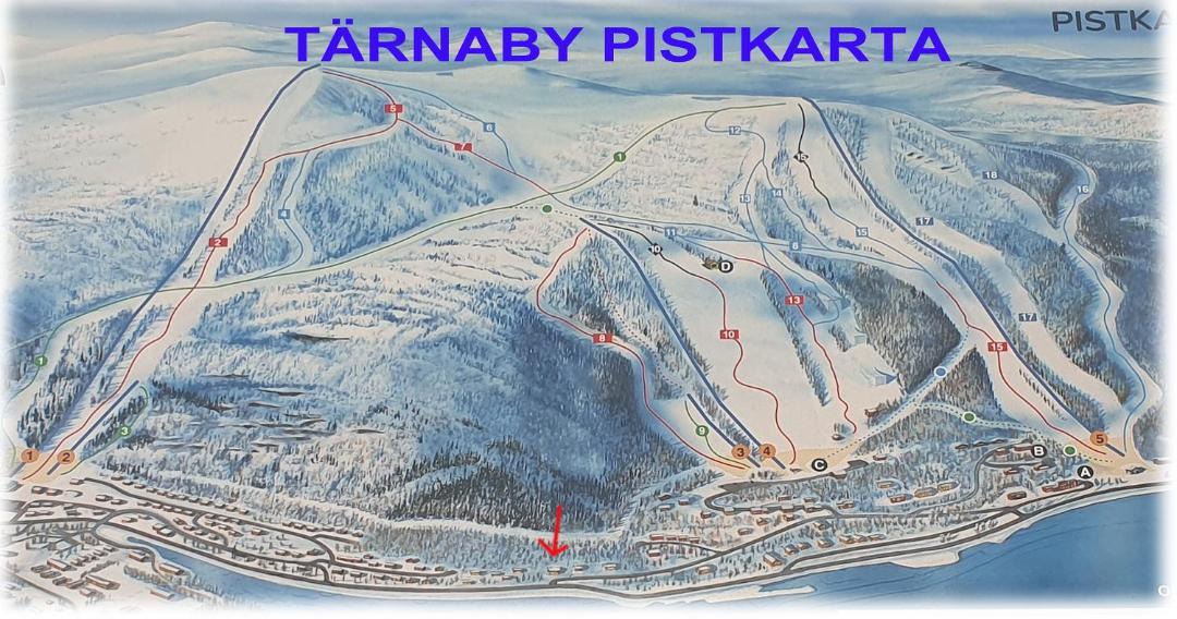 Photo of Others in Tarnaby