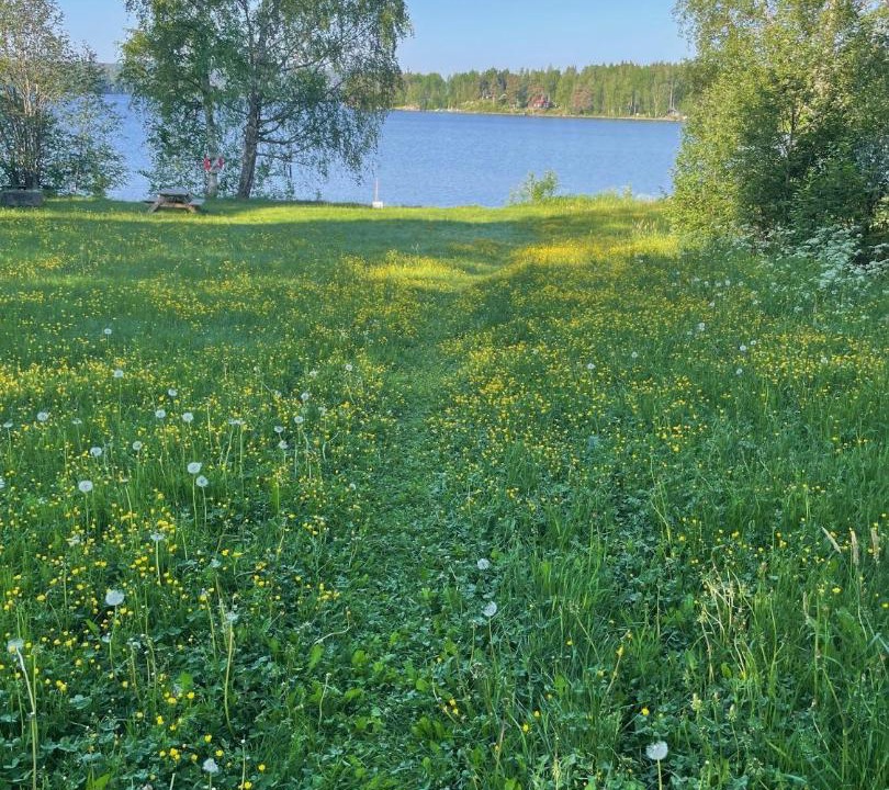 Photo of Others in Ludvika