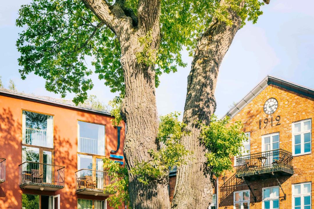 Photo of Buildings in Lilla Nyckelviken
