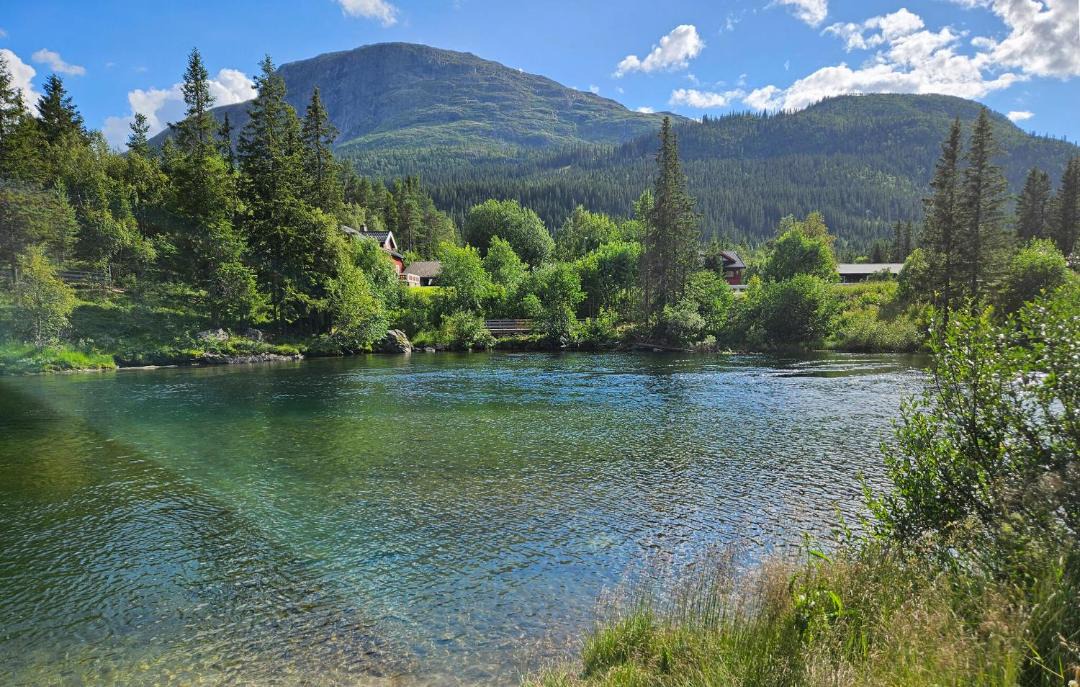 Photo of Others in Hemsedal