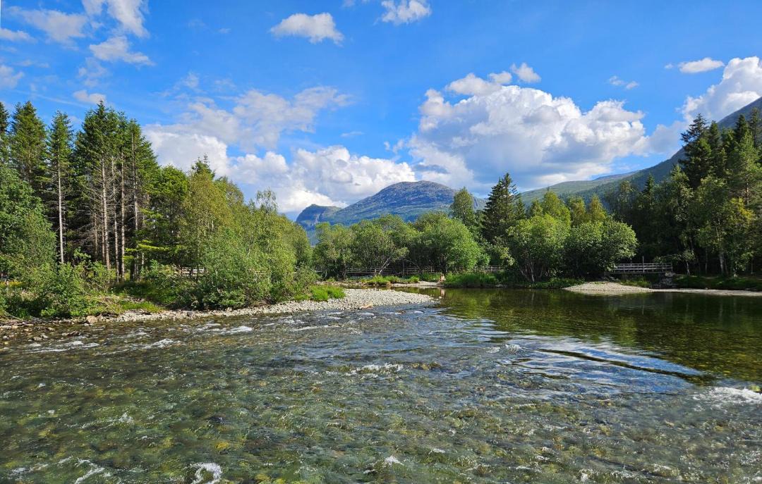 Photo of Others in Hemsedal