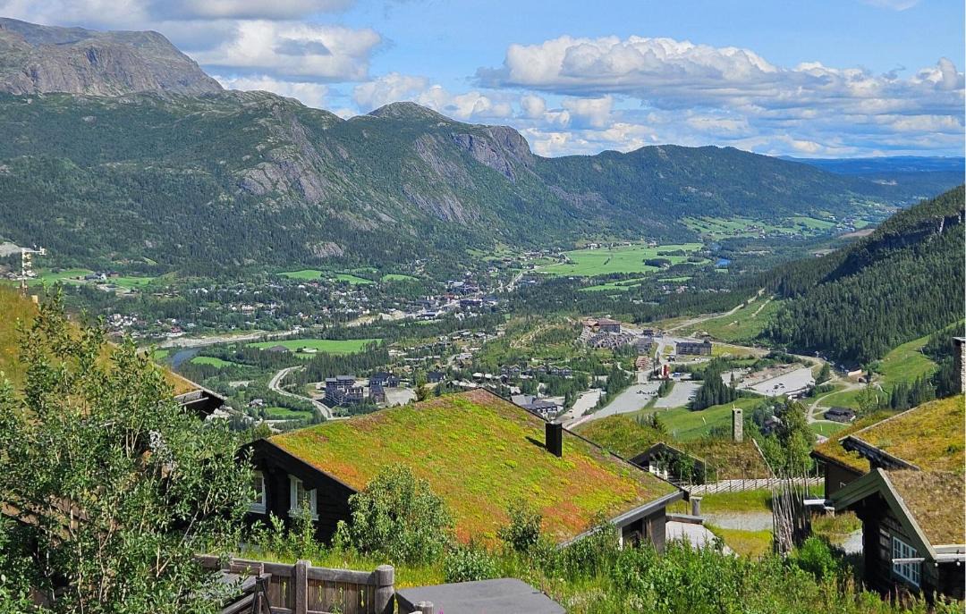 Photo of Others in Hemsedal