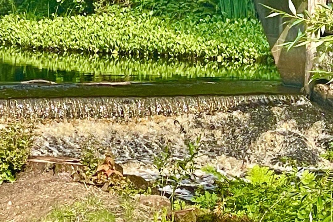 Photo of Others in Vittsjo