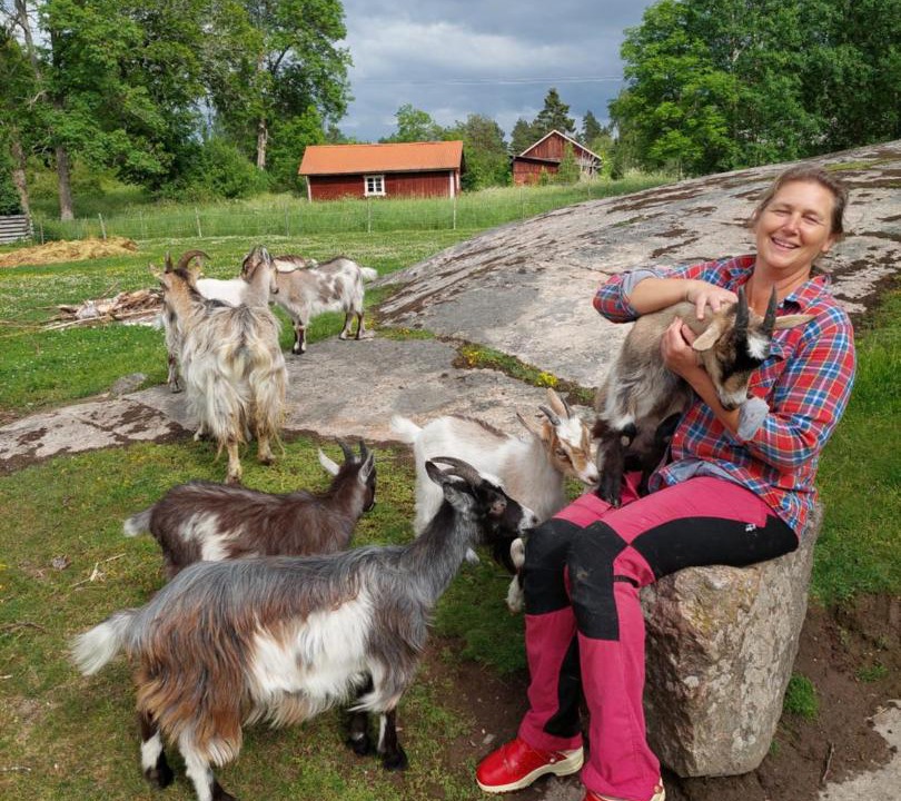 Photo of Others in Gusum