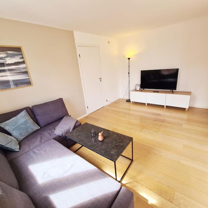 Photo of Livingroom in Toyen