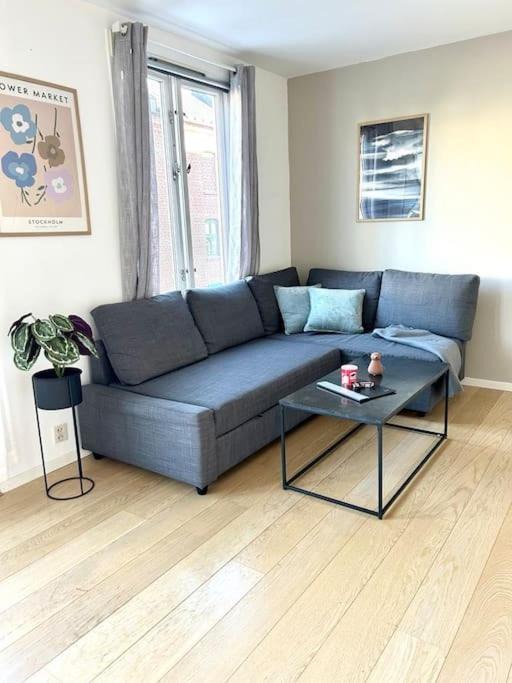 Photo of Livingroom in Toyen