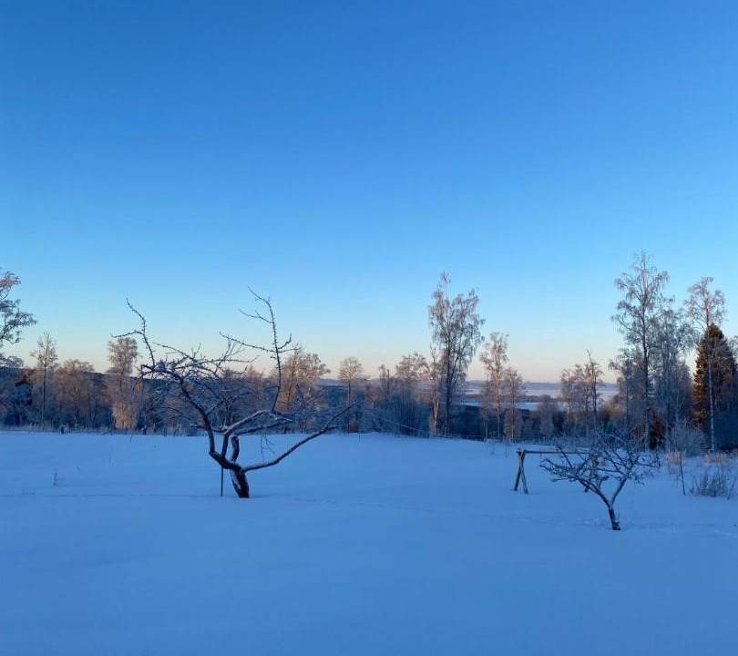 Photo of Others in Rattvik