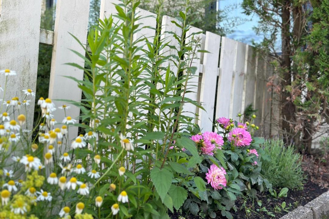 Photo of Others in Stange Municipality