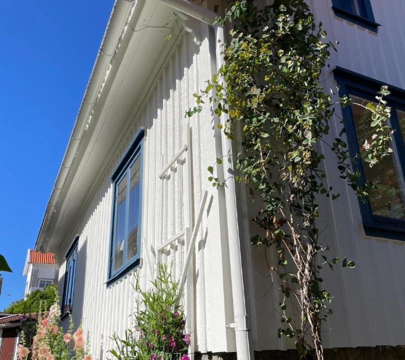 Photo of Buildings in Mollosund