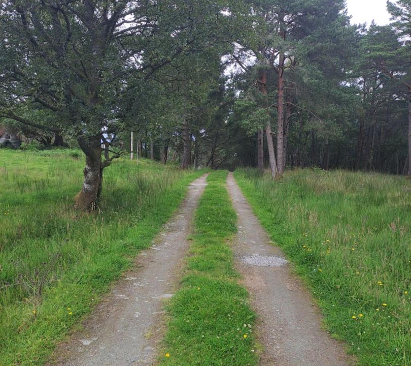 Photo of Others in Svanøybukt