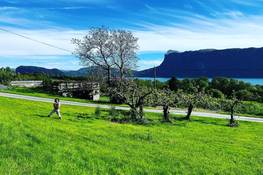 Photo of Others in Hyllestad