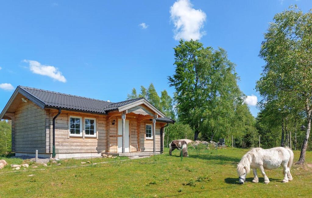 Photo of Others in Munka-Ljungby