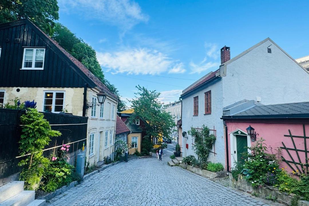 Photo of Others in Oslo City Centre