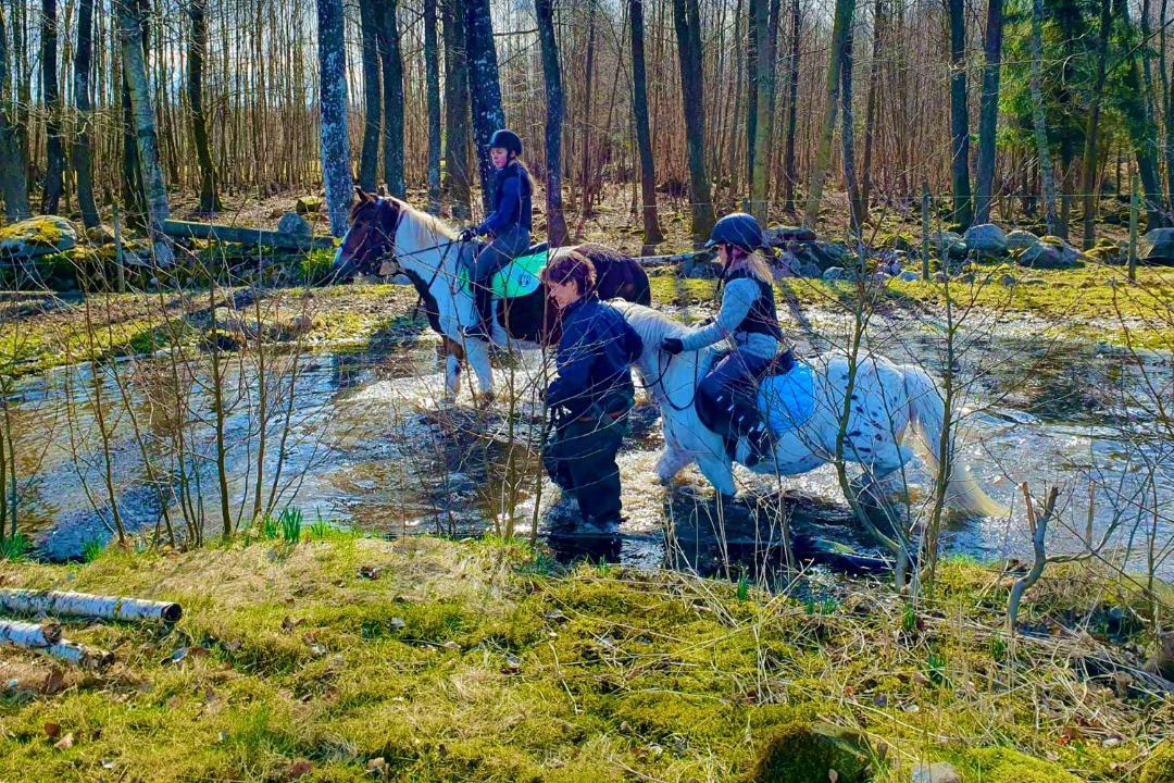 Photo of Others in Munka-Ljungby