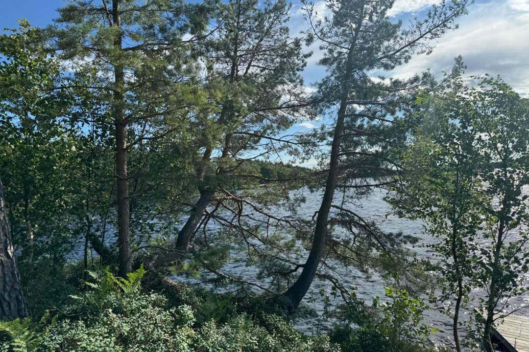 Photo of Others in Karlsborg