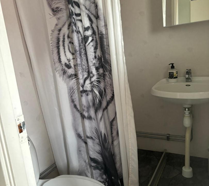 Photo of Bathroom in Rodvattnet