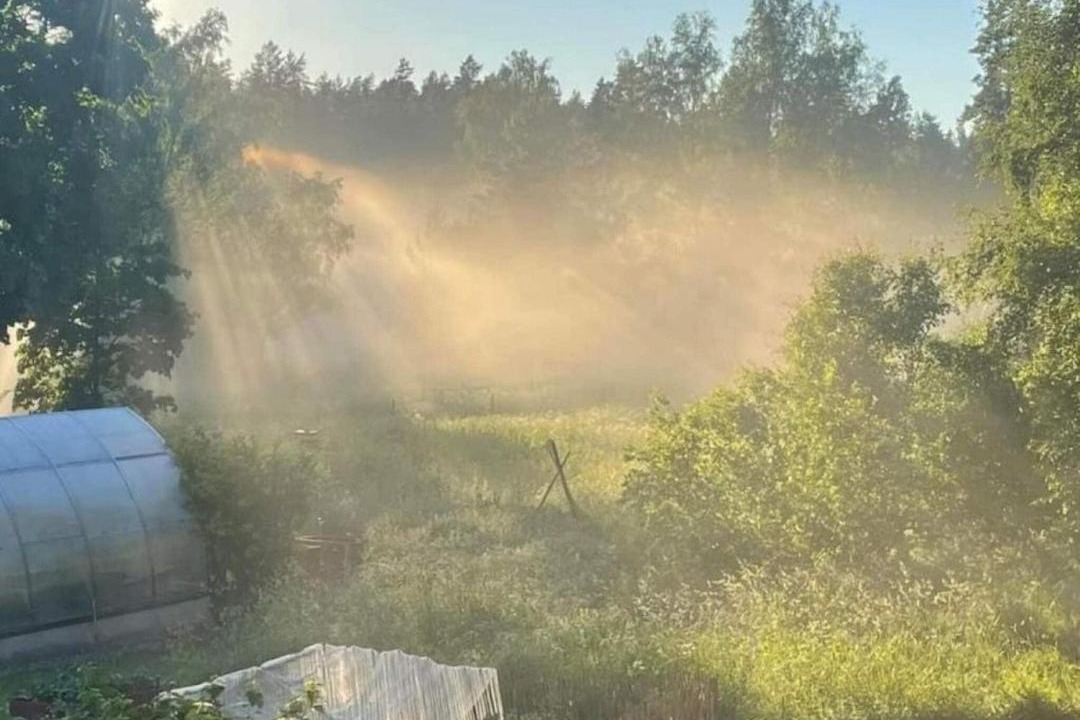 Photo of Others in Nykvarn