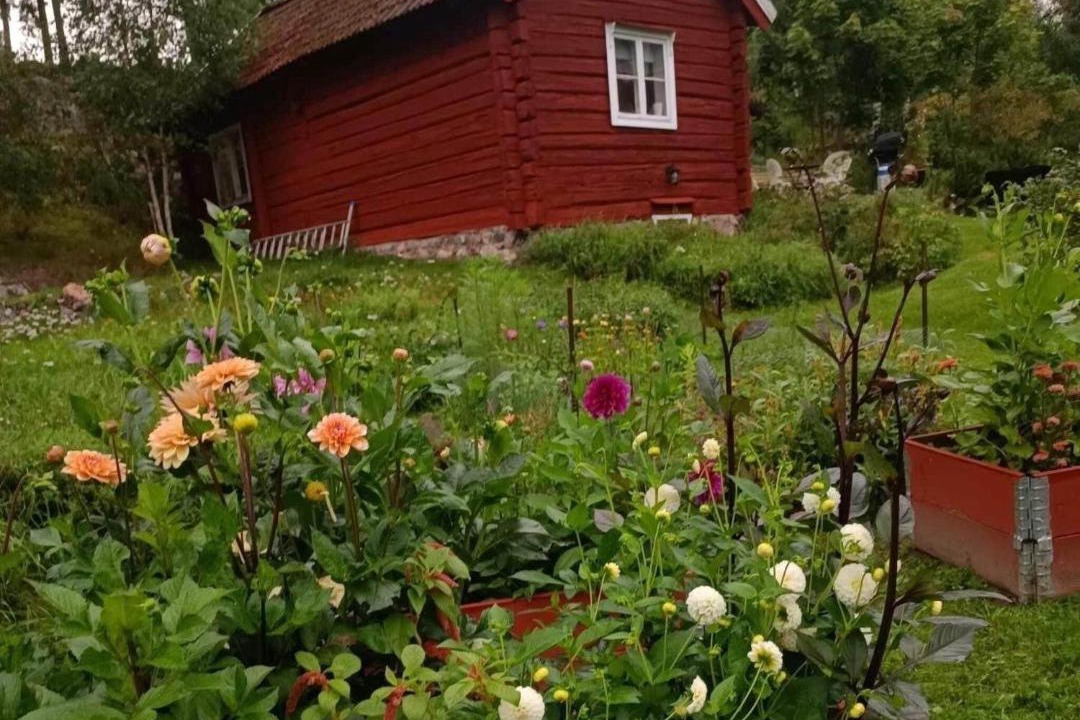 Photo of Others in Nykvarn