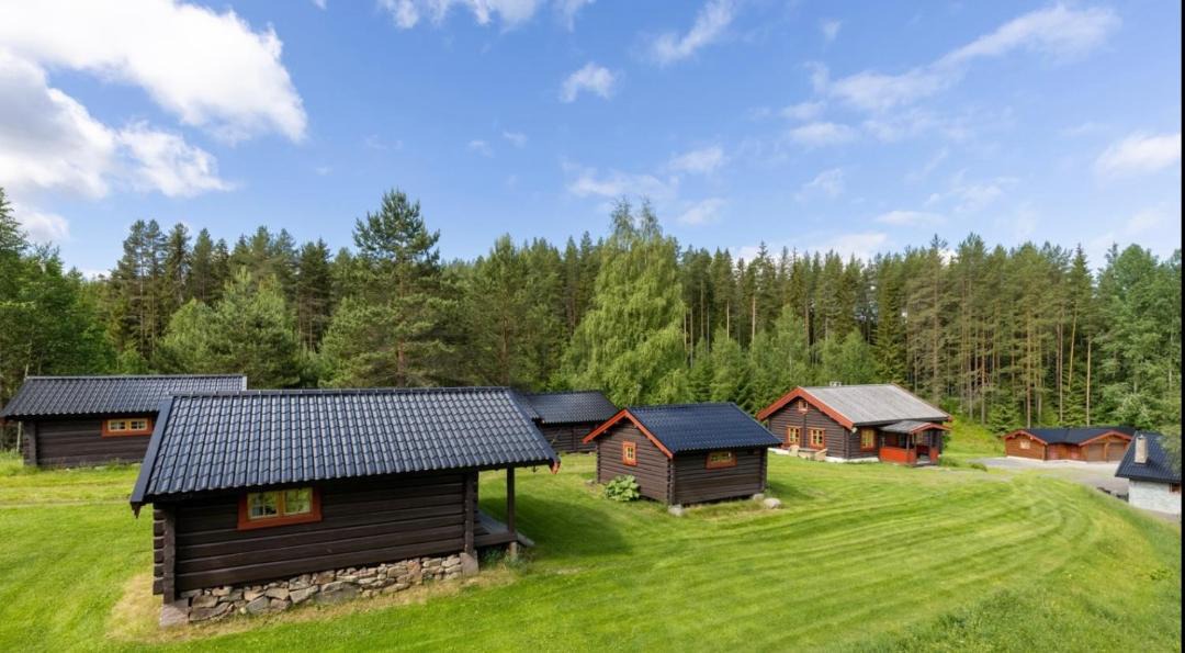 Photo of Others in Elverum