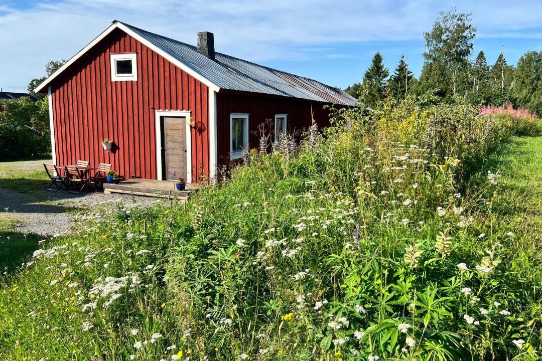 Photo of Others in Norastrom