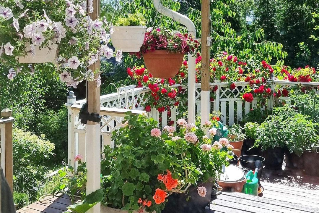 Photo of Patio Balcony in Arsta Havsbad