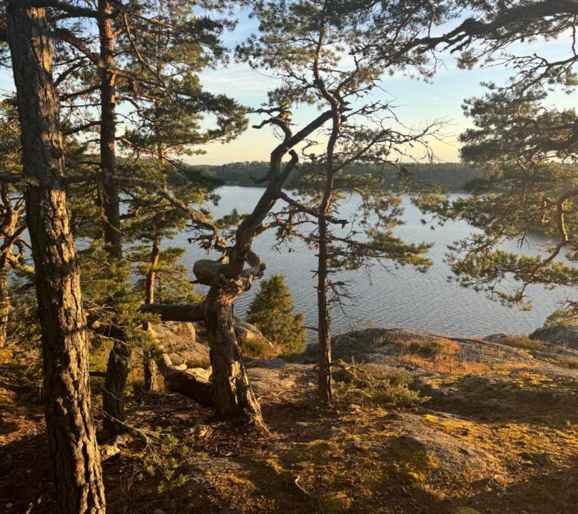 Photo of Others in Vagnharad