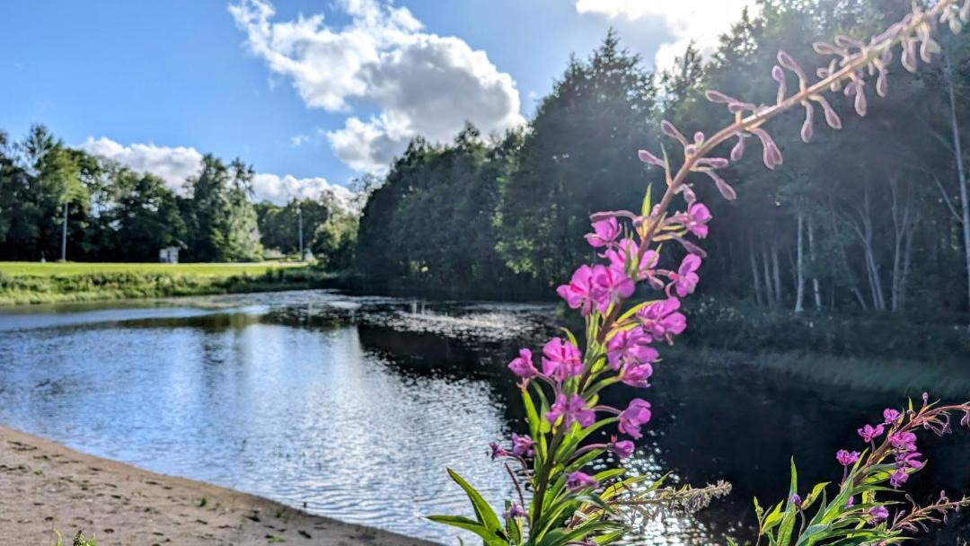 Photo of Others in Dalskog