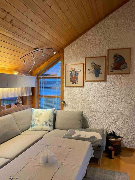 Photo of Others in Tromsdalen