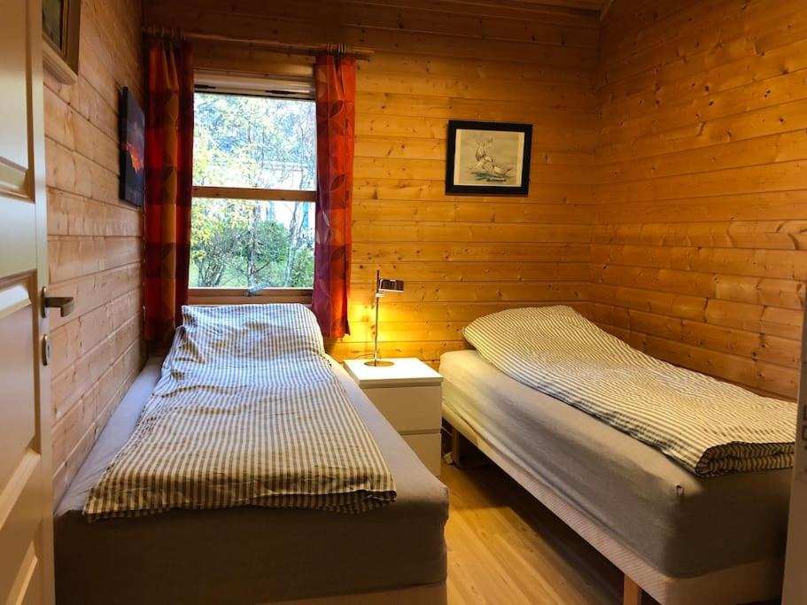 Photo of Others in Tromsdalen