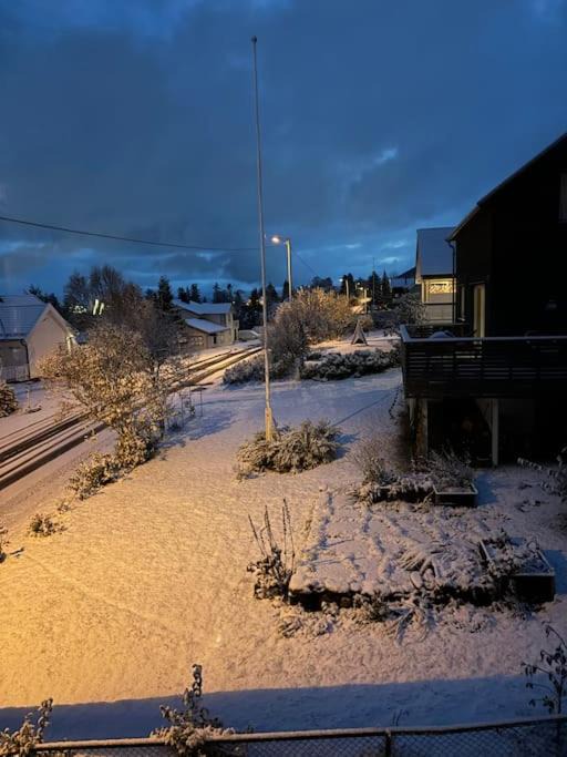 Photo of Others in Tromsdalen