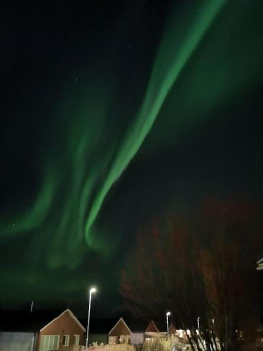 Photo of Others in Kiruna