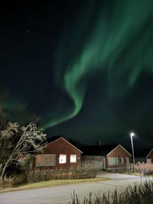 Photo of Others in Kiruna