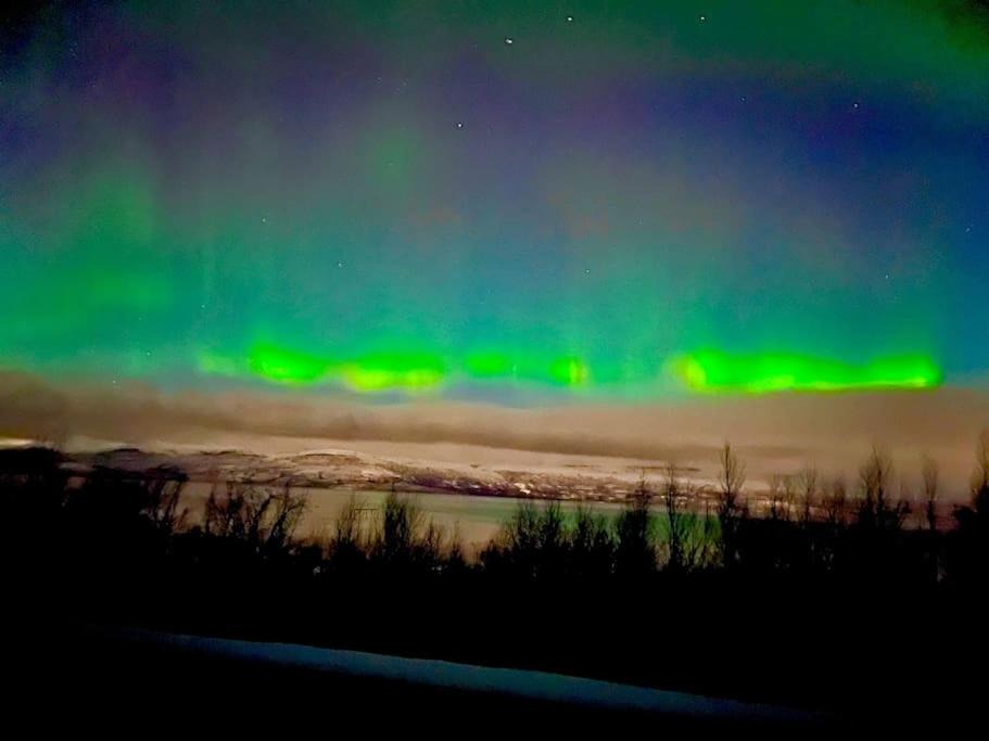 Photo of Others in Kiruna