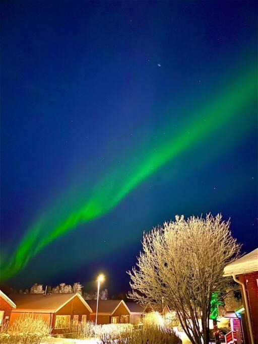Photo of Others in Kiruna