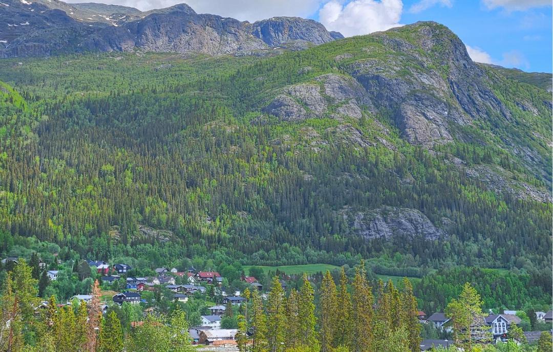 Photo of Others in Hemsedal