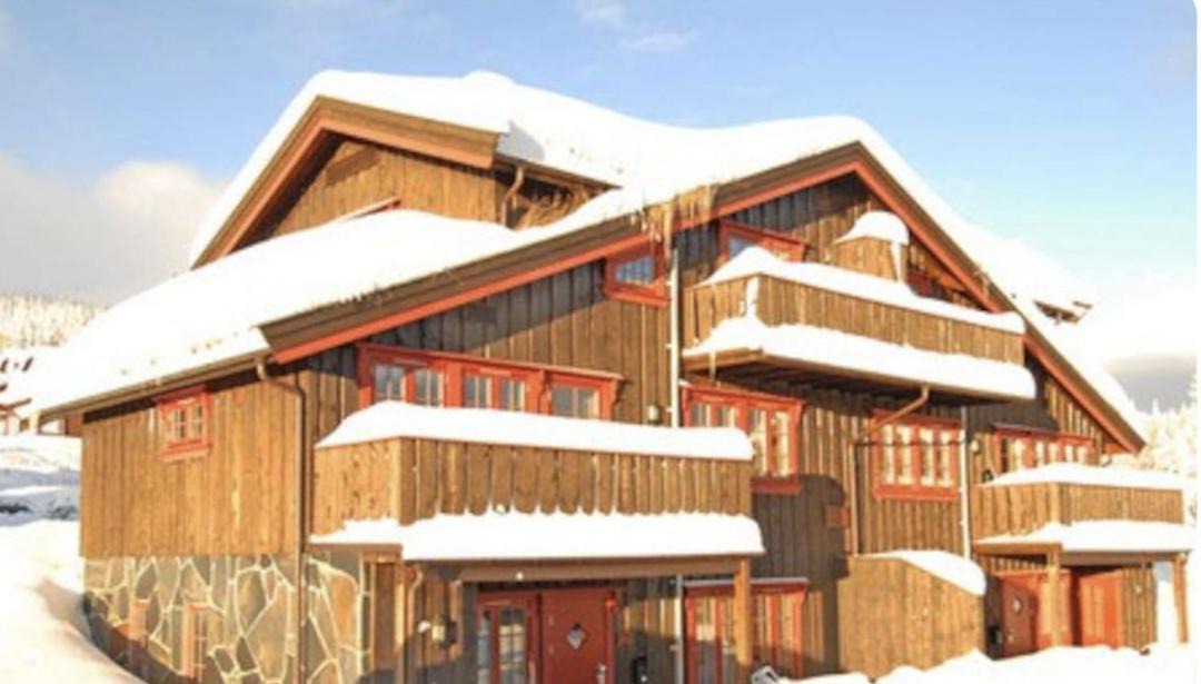 Photo of Others in Trysil