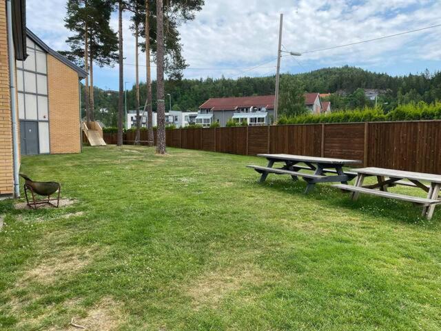 Photo of Others in Vennesla