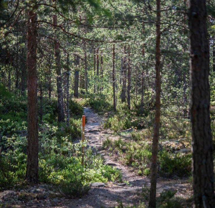 Photo of Others in Fiskars