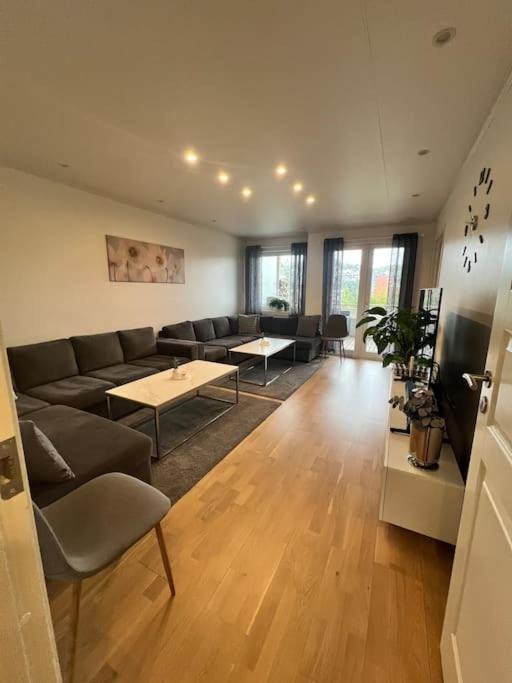 Photo of Livingroom in Gamle Oslo