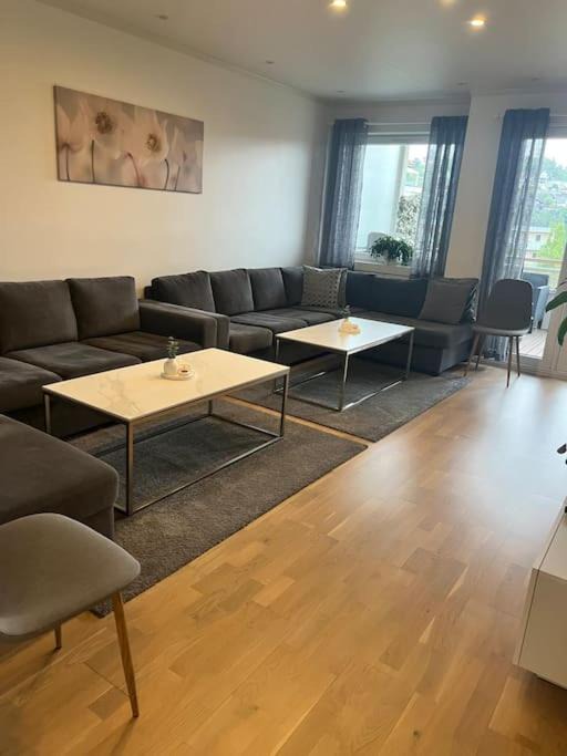 Photo of Livingroom in Gamle Oslo