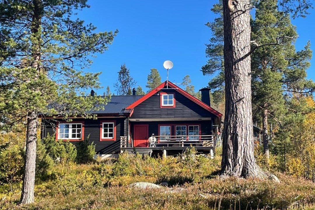 Photo of Others in Lofsdalen