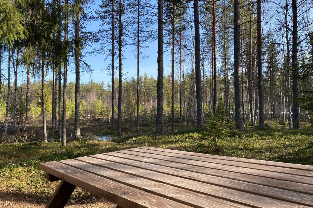 Photo of Others in Sorsjon