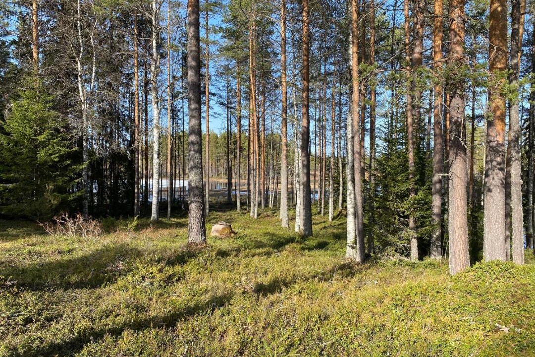 Photo of Others in Sorsjon