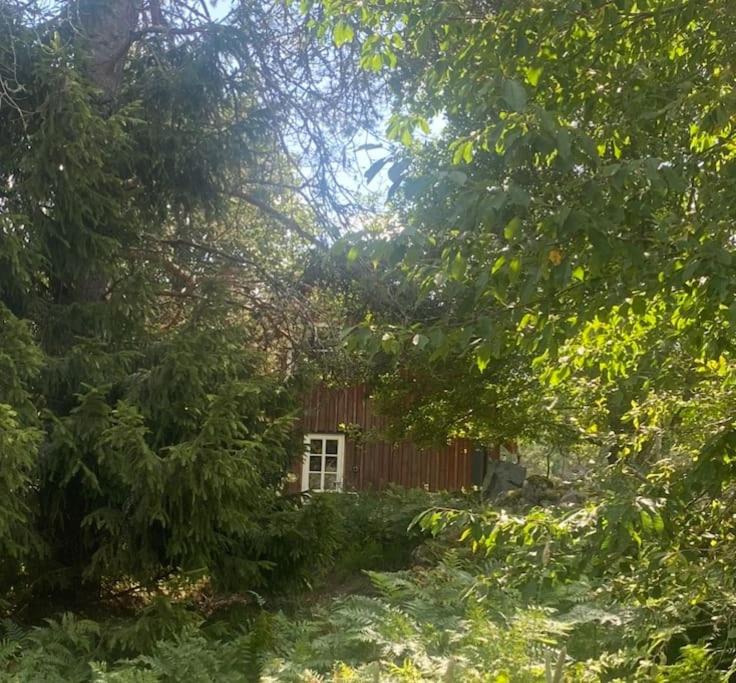 Photo of Others in Mariannelund